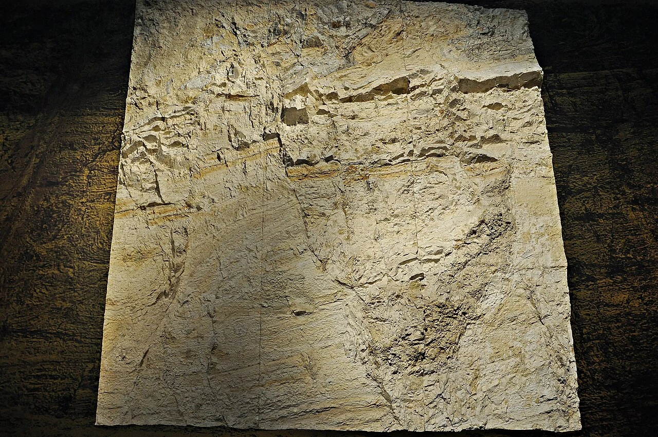 Detalle de una pieza de roca del Muro Geológico de CosmoCaixa