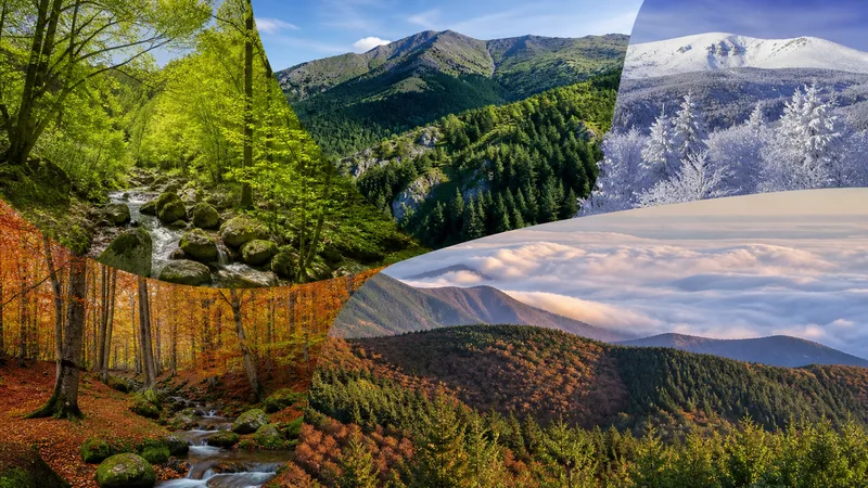 Bosques y cumbres del Montseny representados en estaciones distintas, sin personas