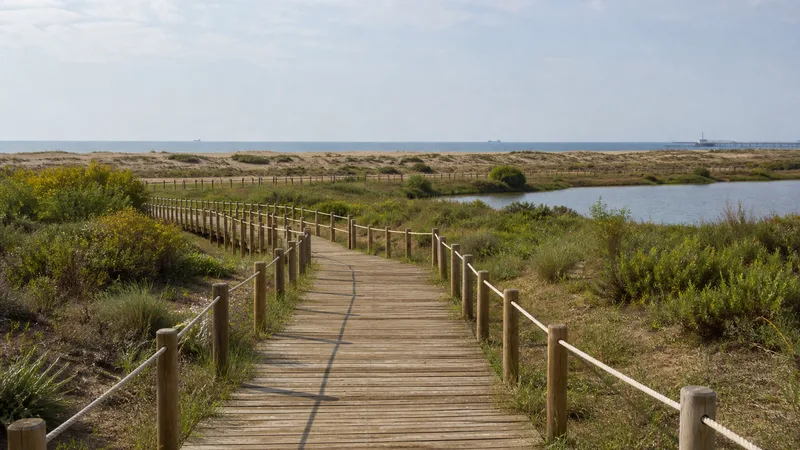 Pasarela entre vegetación, laguna y dunas del delta del Llobregat junto al mar