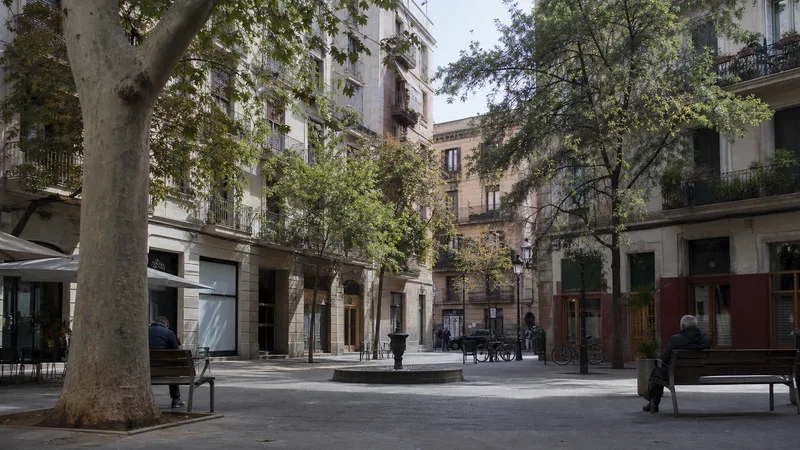 Plaza tranquila de Gràcia con árboles, bancos y fachadas residenciales con balcones