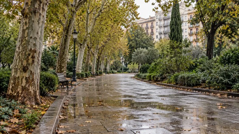 Camino de un parque urbano vacío con el pavimento mojado tras la lluvia, árboles y edificios al fondo.